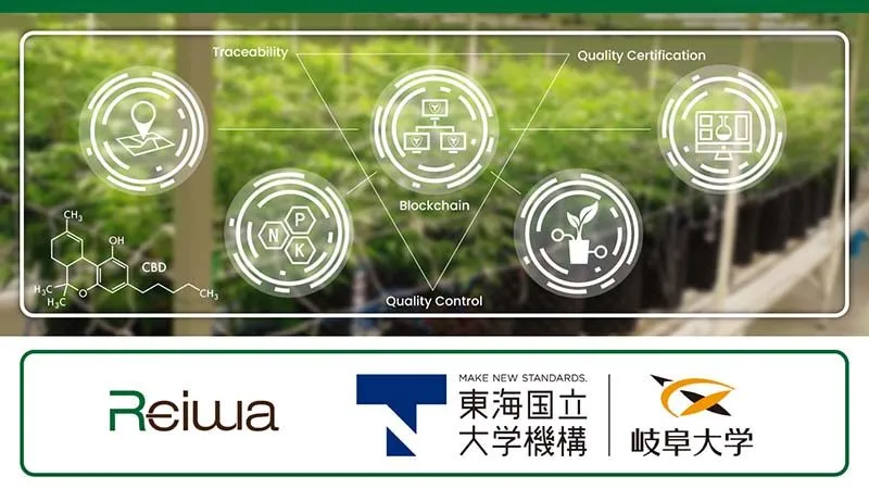 Using the Symbol blockchain to manage the cultivation and distribution of medical cannabis: Siam Reiwa x Gifu University.
